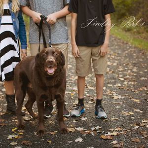 Meet your Posher, Debbie